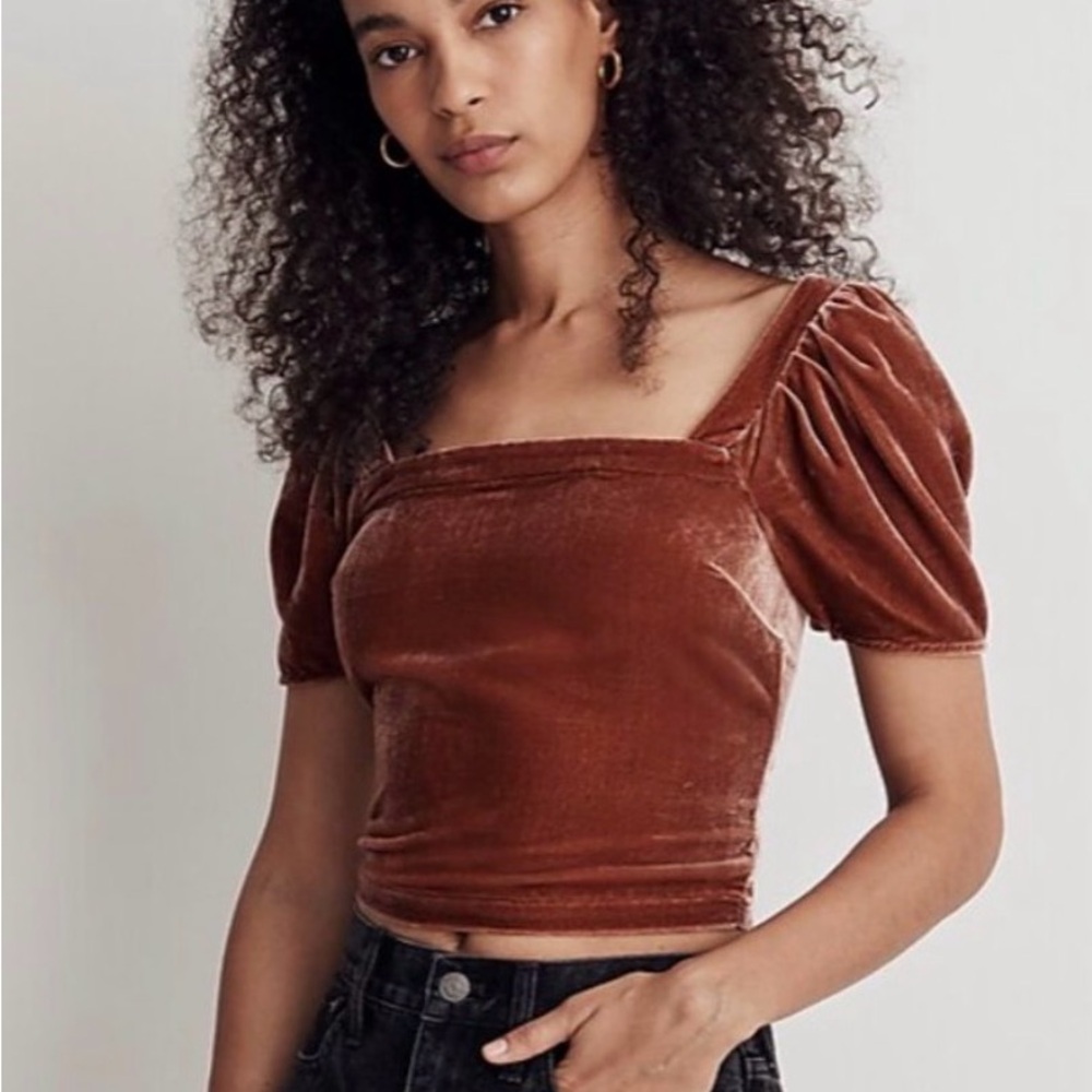 NWT Madewell Hopewell Puff-Sleeve Crop Top in Silk-Blend Velvet